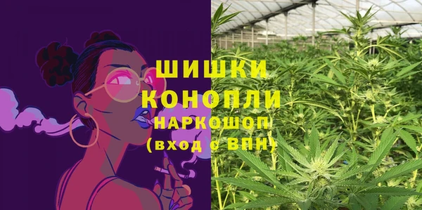мет Елизово